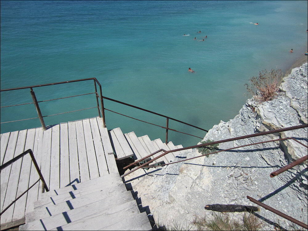 Сосновка в геленджике фото