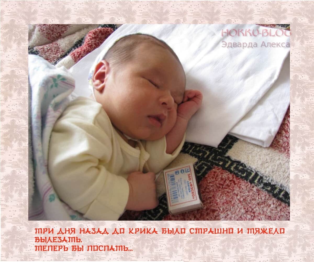 Хокку        Младенец            Сон