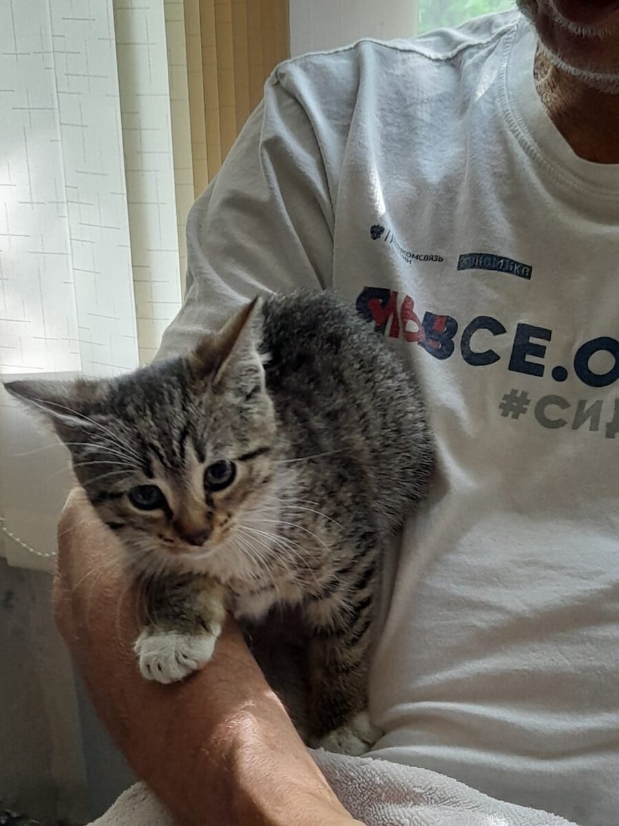 Ритуля из нашего двора 