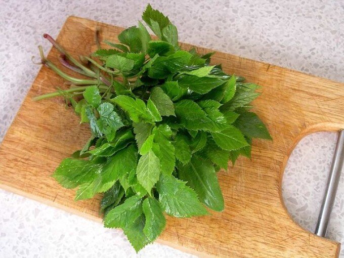 Фото из интернета