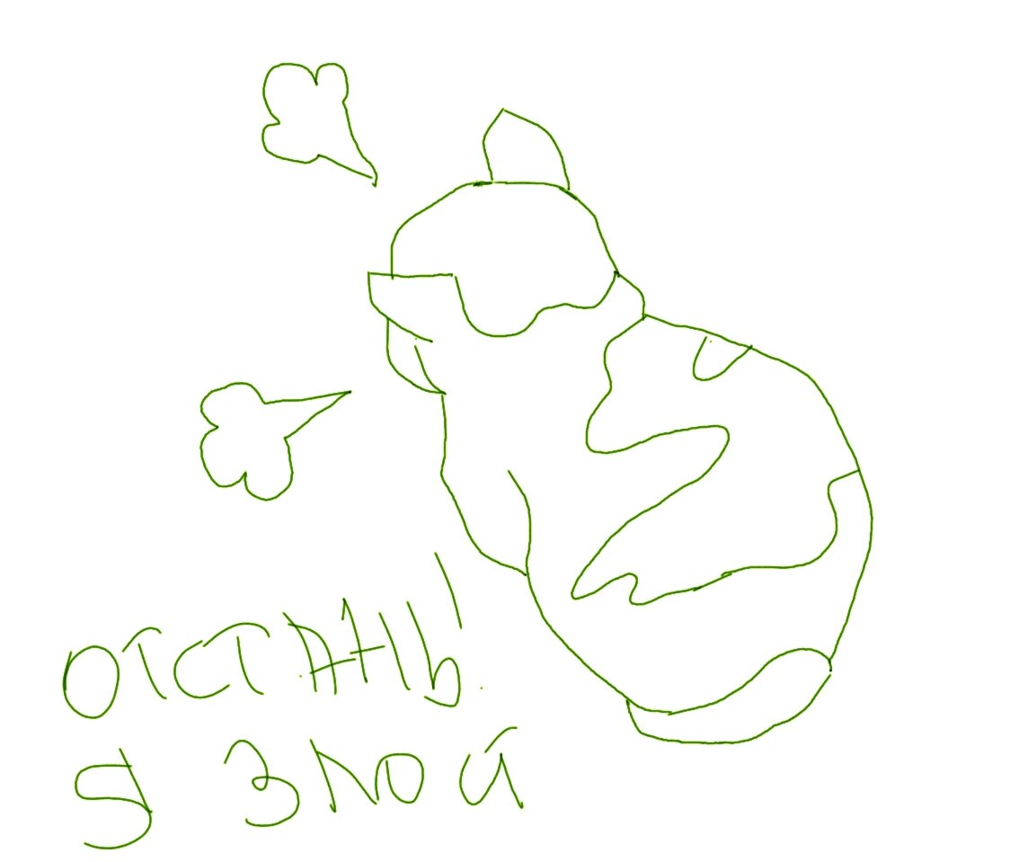 Контур того самого котенка. Качество начальной фотографии, конечно жуткое, но обводку сделать можно.