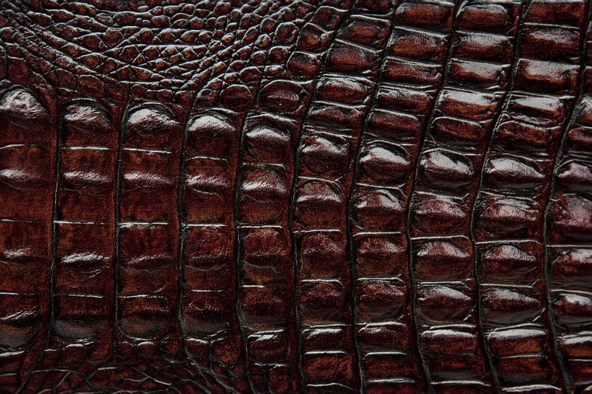 Текстура - как искусство и дизайн: передача глубины ощущений и влияние на визуальные и тактильные характеристики поверхности предметов, кожа крокодила