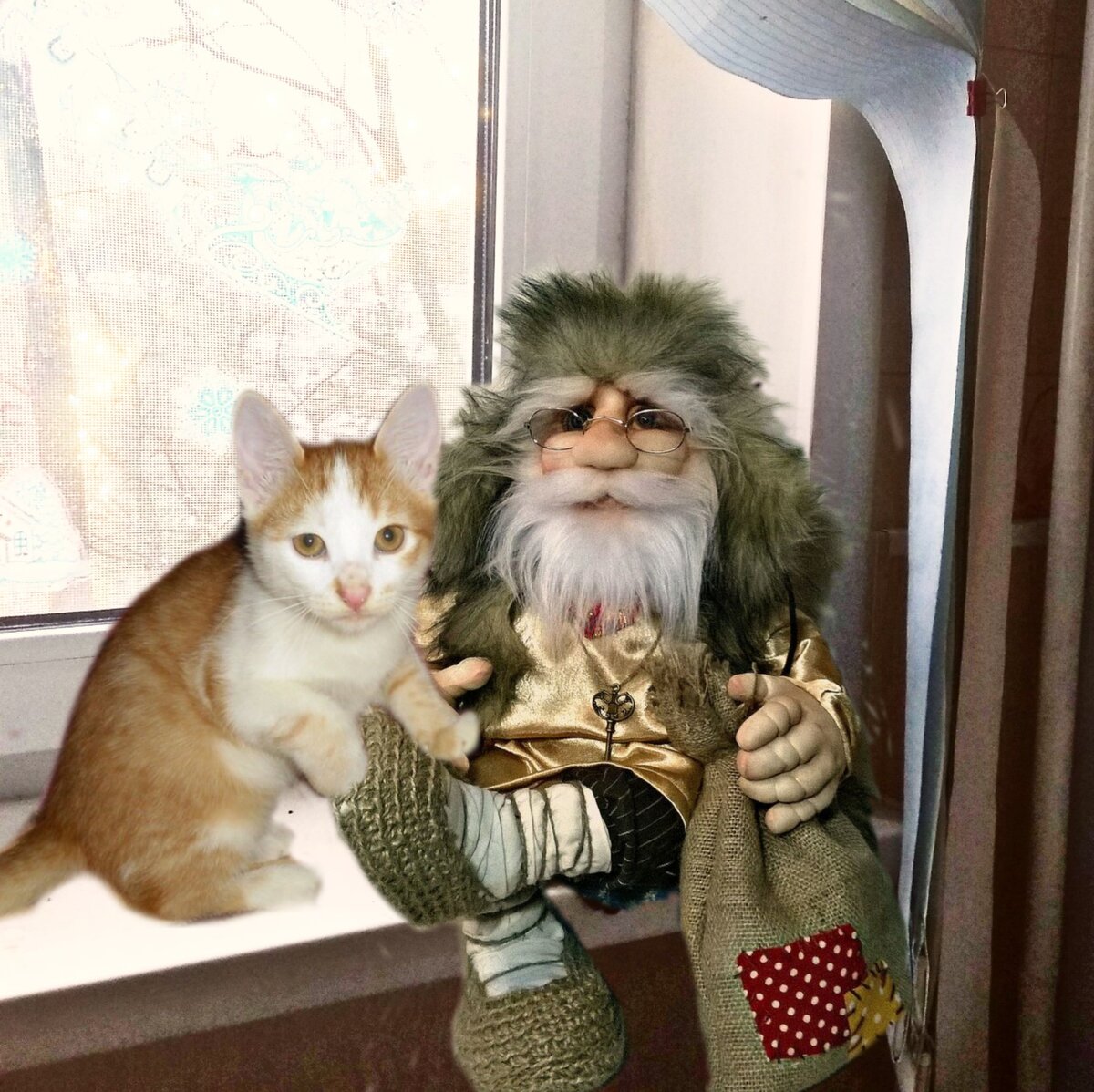 Сидели мы с Васьком на подоконнике.