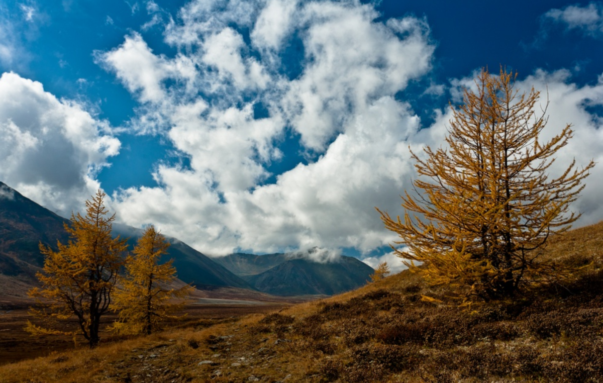 Климат Монголии. Монголия природа и климат. Рельеф Монголии. Климат Монголии фото.