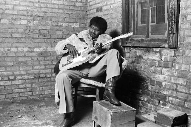  Albert Collins