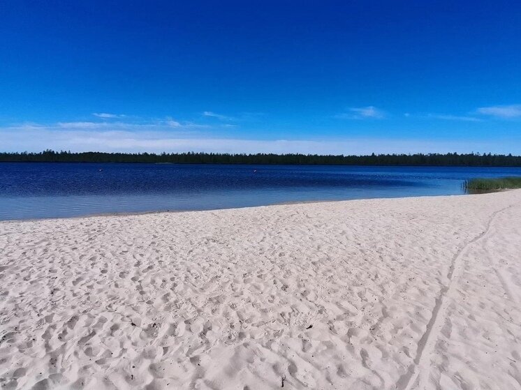     Фото: администрация Муравленко
