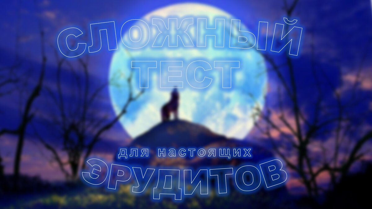 Тест №124