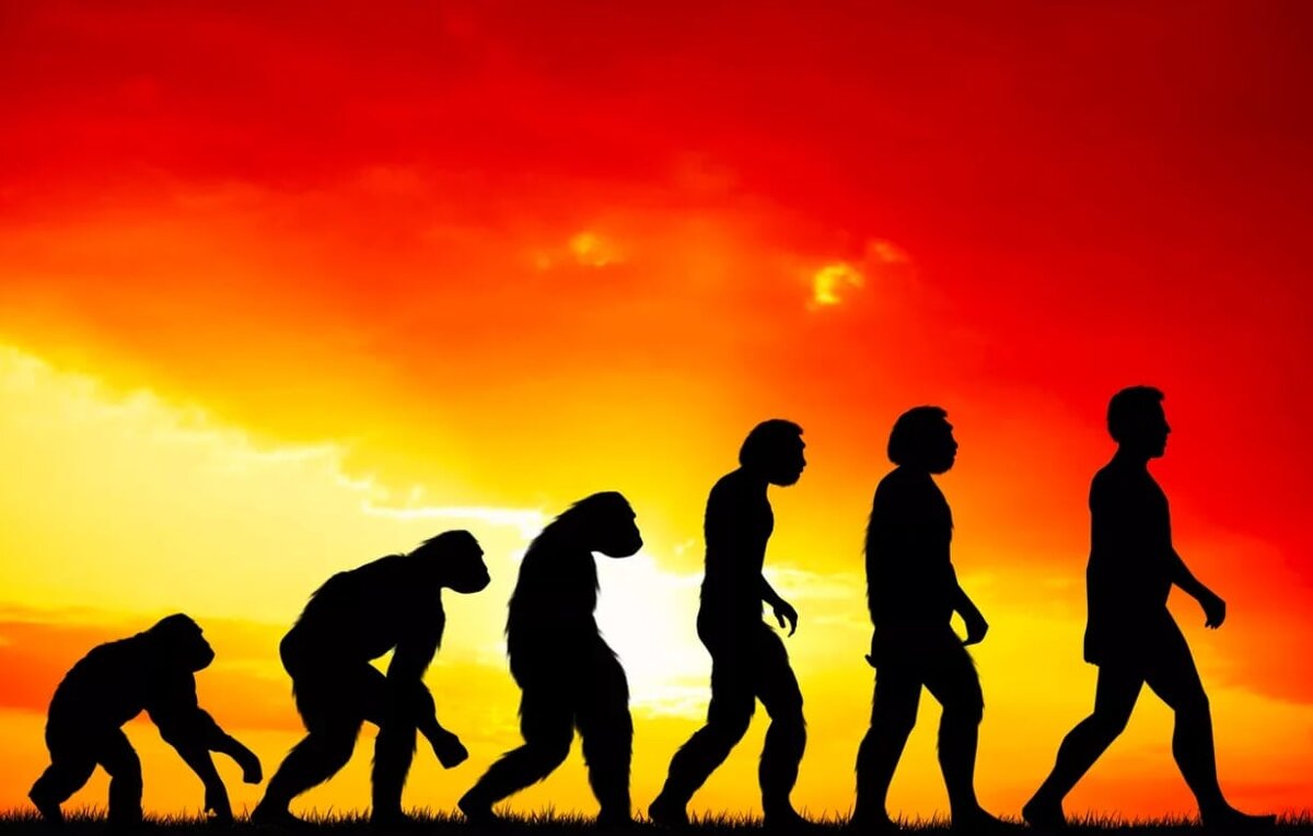    Ученым удалось подсчитать общее количество людей на Земле за всю историю — результат не точный, но интересный