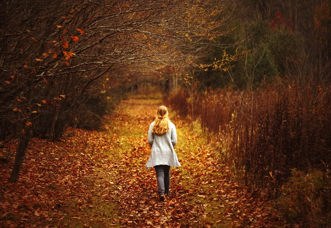 Яндекс картинки