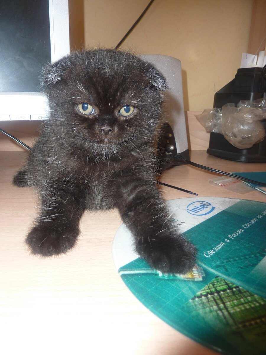 Дерзайте друзья! 