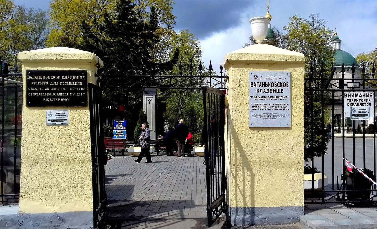 Фотография взята из источника yandex.ru