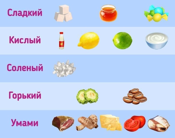 Кислый привкус: обратите внимание на оттенки