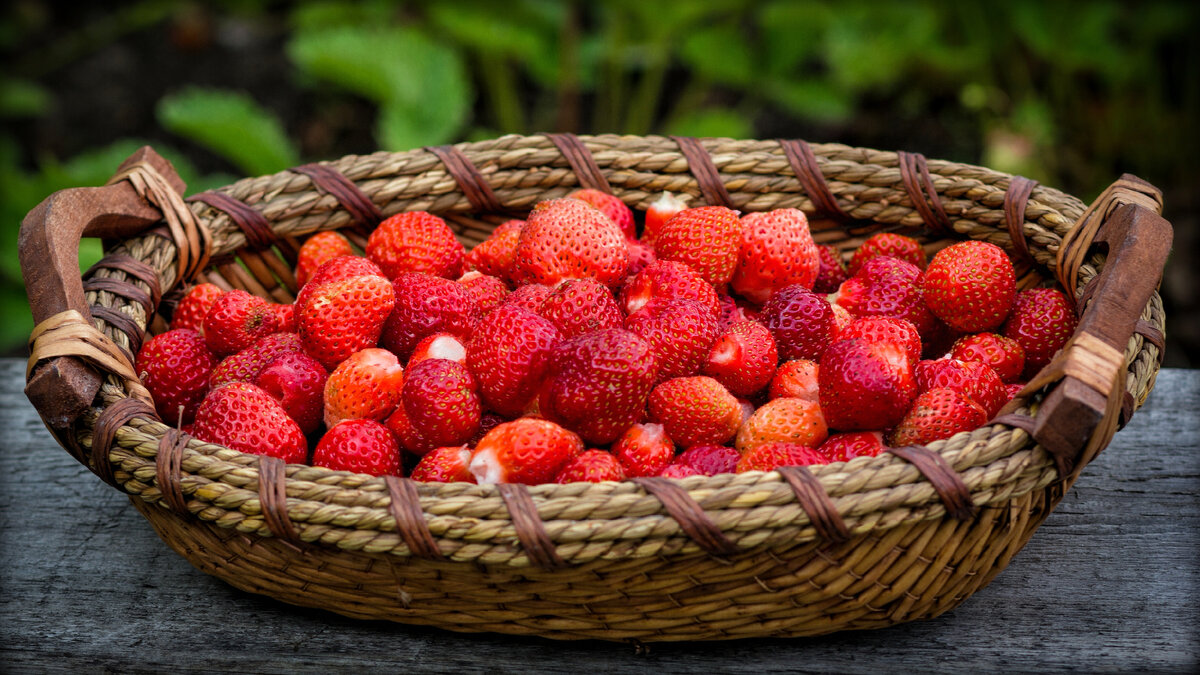 Клубника 🍓