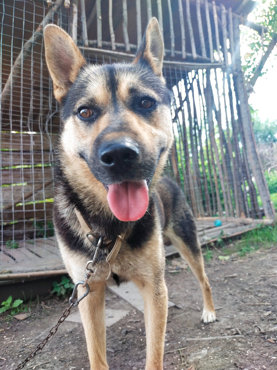 Аки после еды