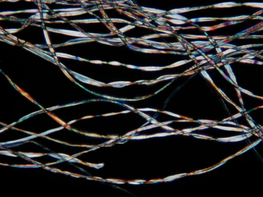 Фото: mavink.com