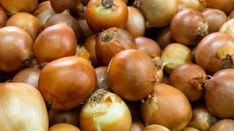    ru.freepik.com/freepik