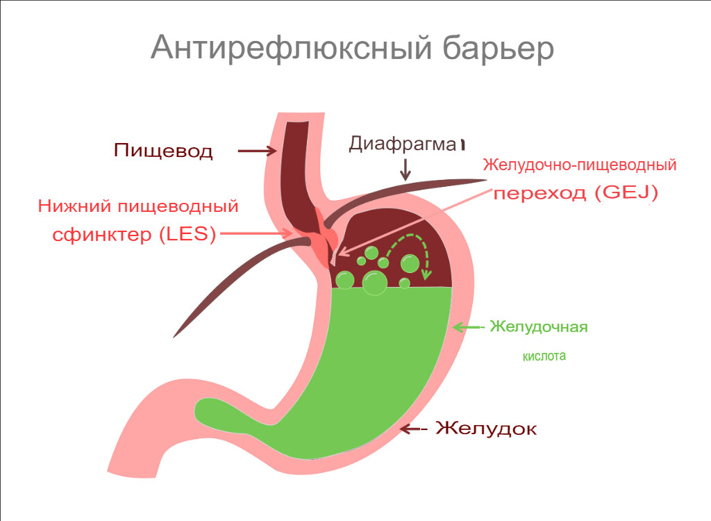 Выброс желчи во сне