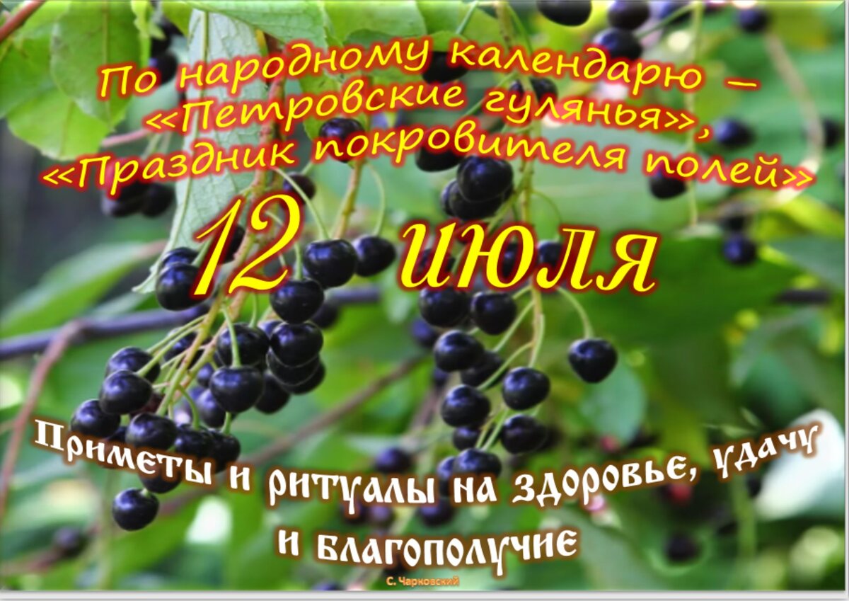 Встречаем новый день