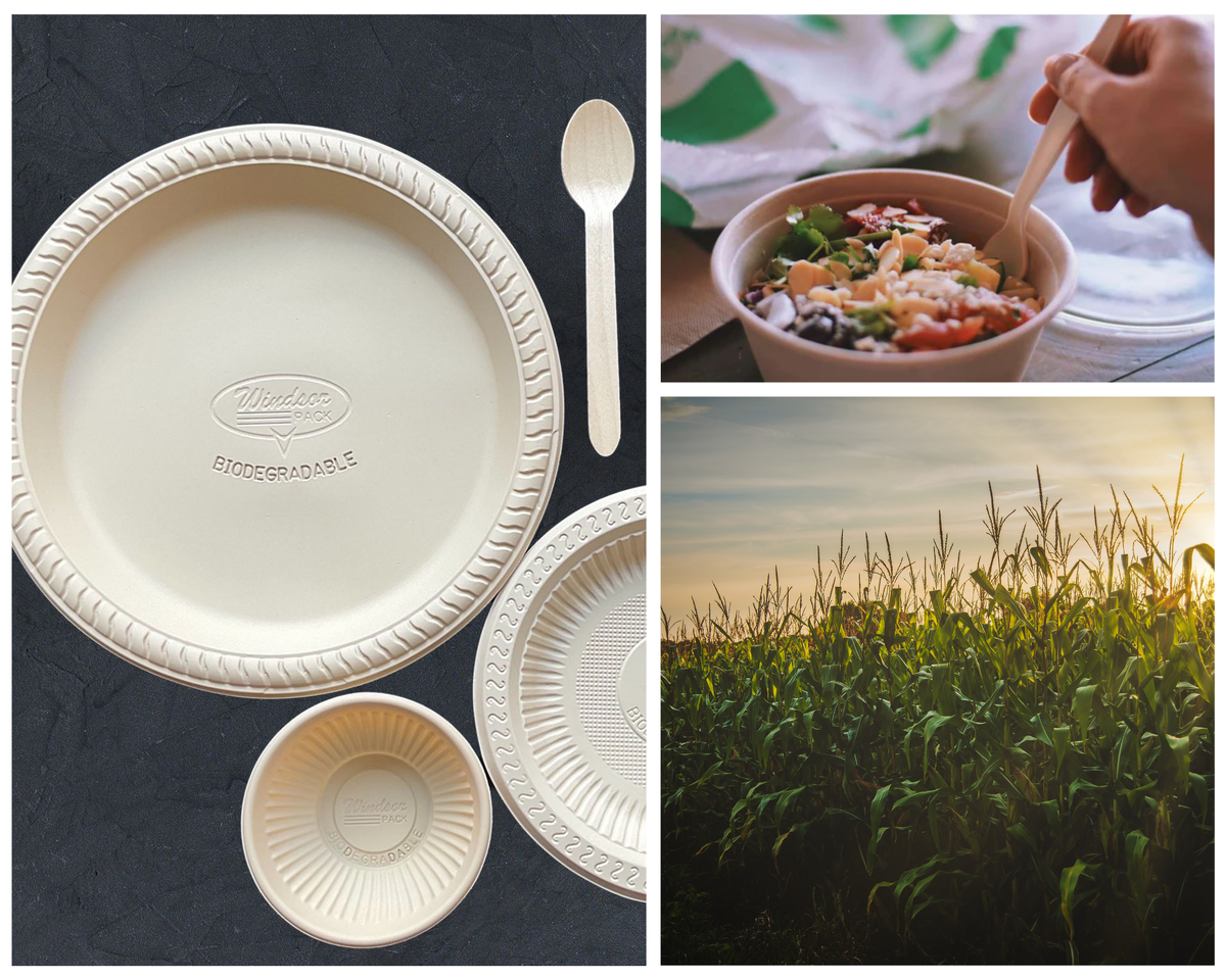 Фото: ecotableware