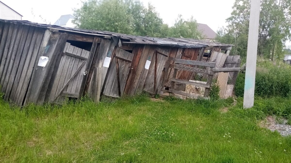 ФОТО: Иван Ямашев