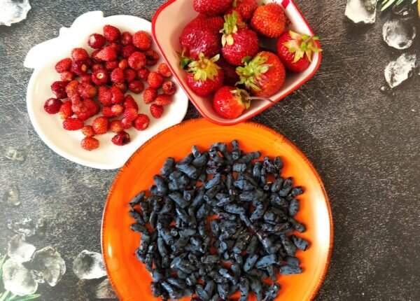    Фото: Екатерина Иванова. UG.RU