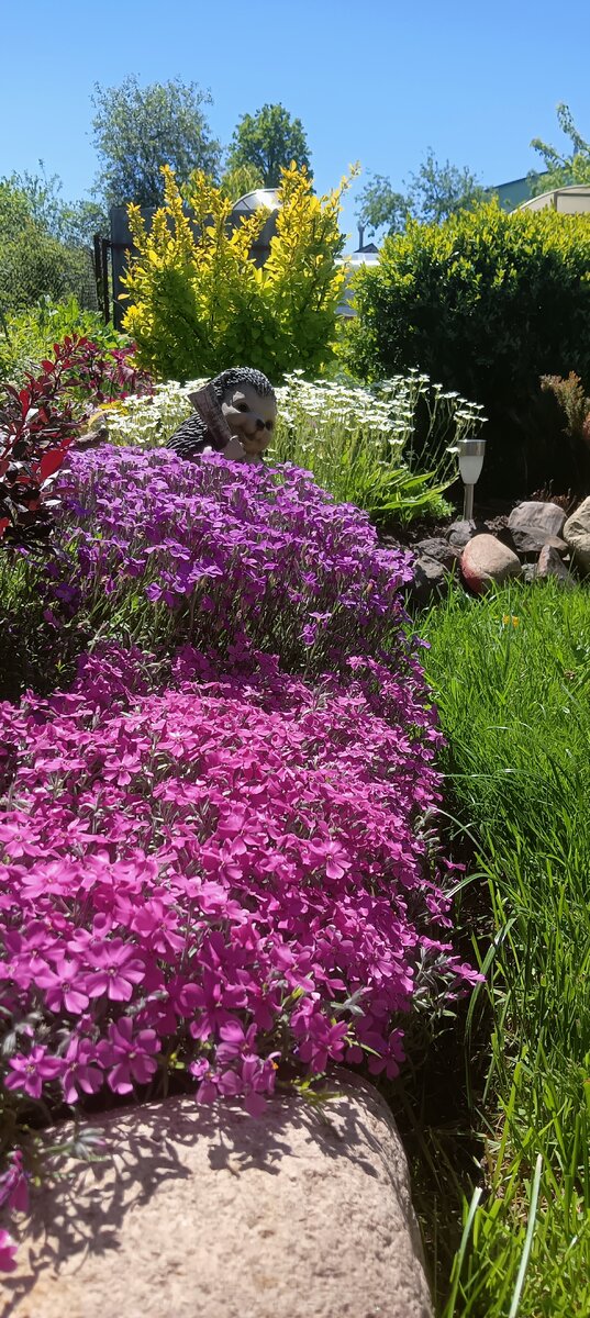 Фото САД В ЦВЕТАХ 