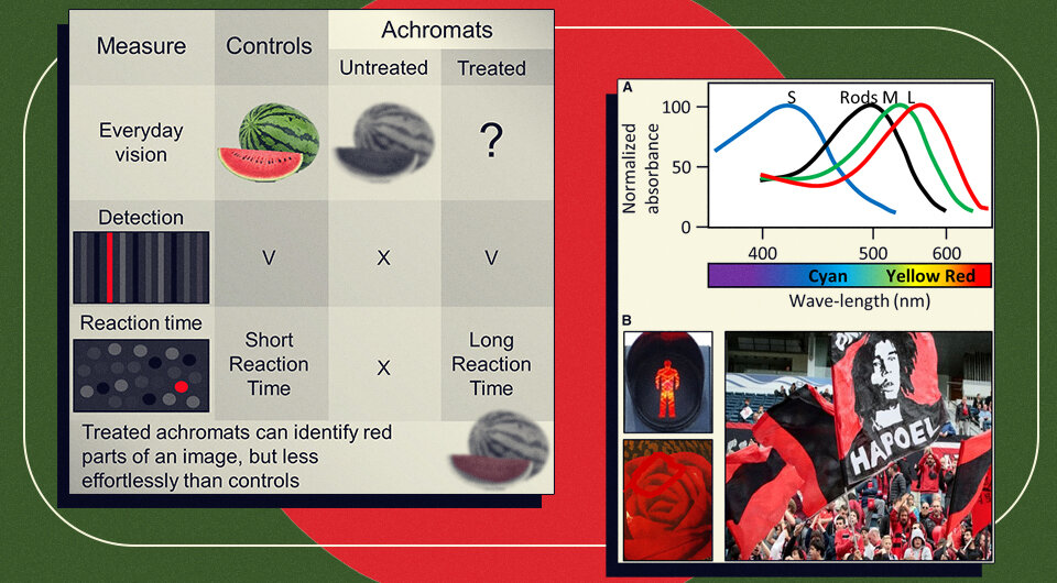   N + 1; Ayelet McKyton et al. / Current Biology, 2023