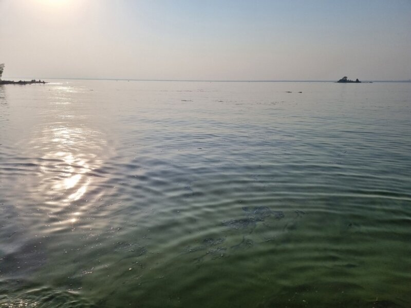 Вода в водохранилищах новосибирск. Новосибирское водохранилище. Ленинское Новосибирское водохранилище. Новосибирское водохранилище фото. МИЗИДЫ дальневосточные в Новосибирском водохранилище.