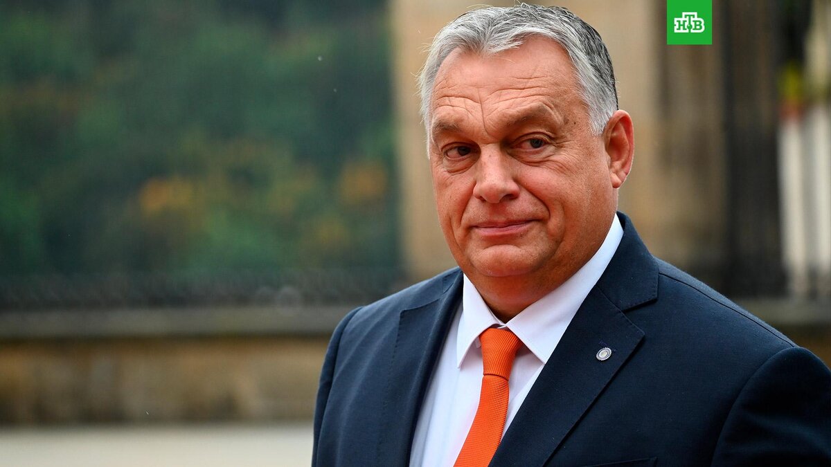    Фото: РИА Новости © 2023