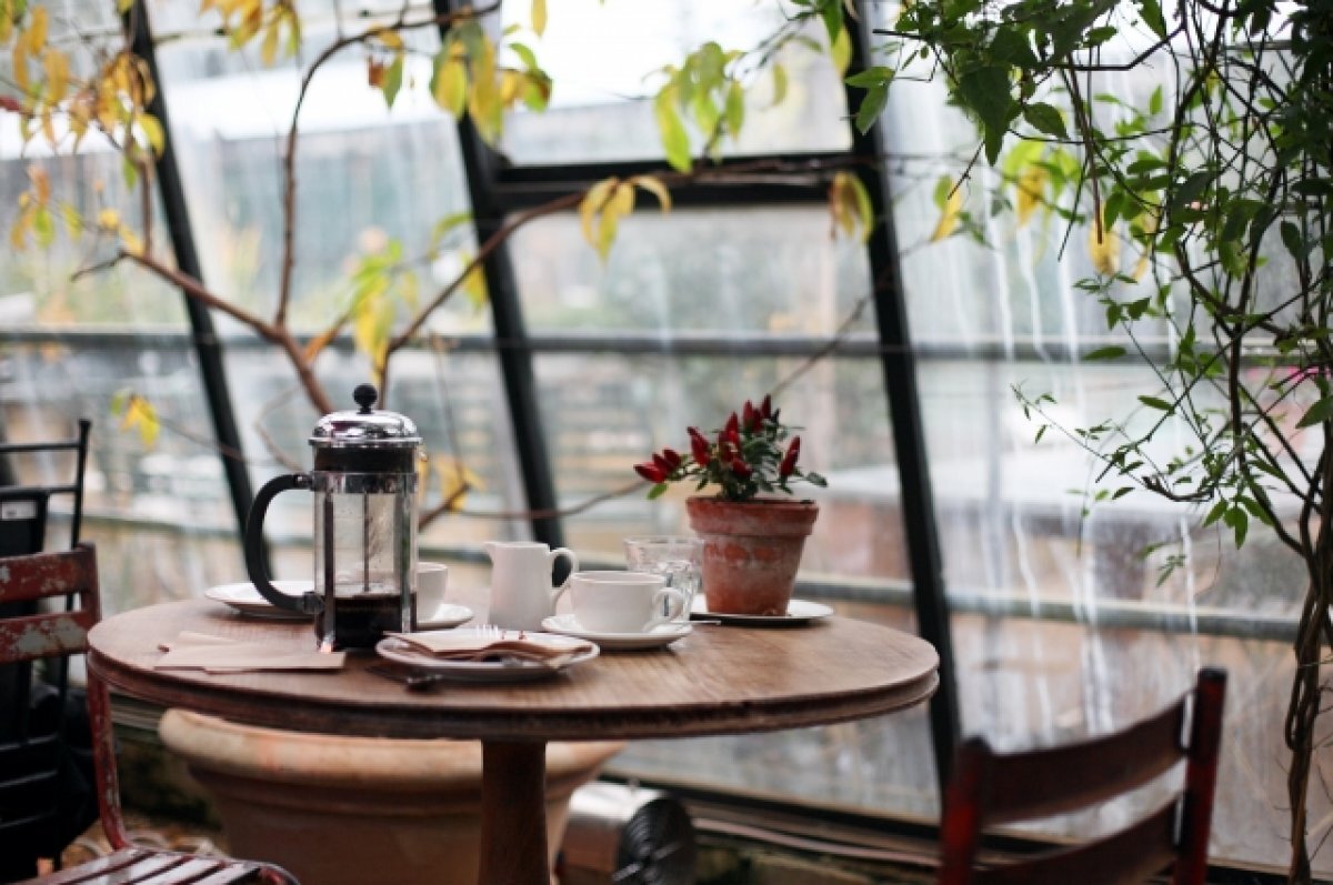    Кафе Mickey&Monkeys в Петербурге закрыли на 80 суток из-за просрочки