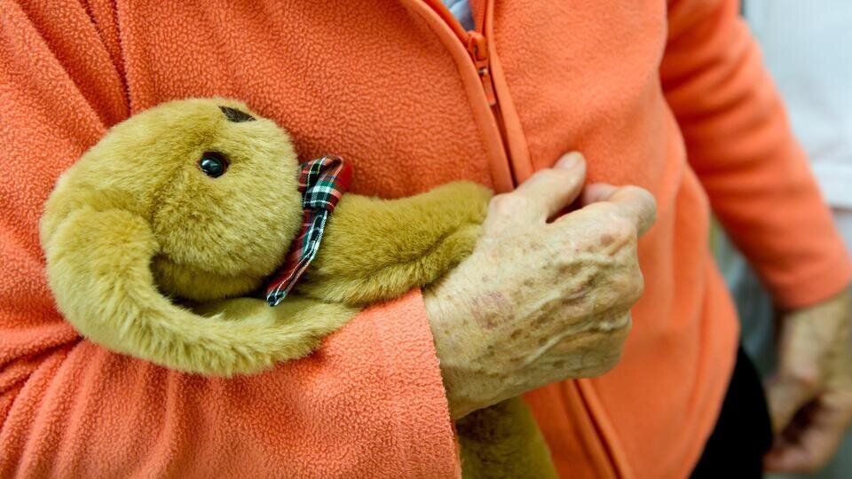 Страшный враг – деменция: признаки болезни, о которых мало кто знает ...