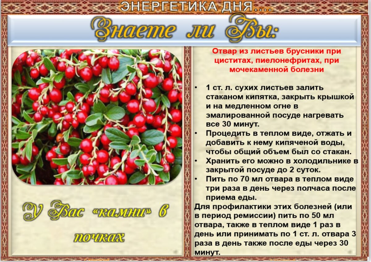 4 июля приметы и поверья. Брусника Садовая ред Перл. Брусника обыкновенная "ред Перл". Вишня Молодежная. Боярышник описание растения