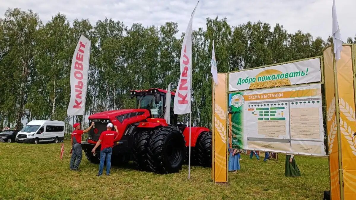 Фото: glavpahar.ru День Брянского поля 2023