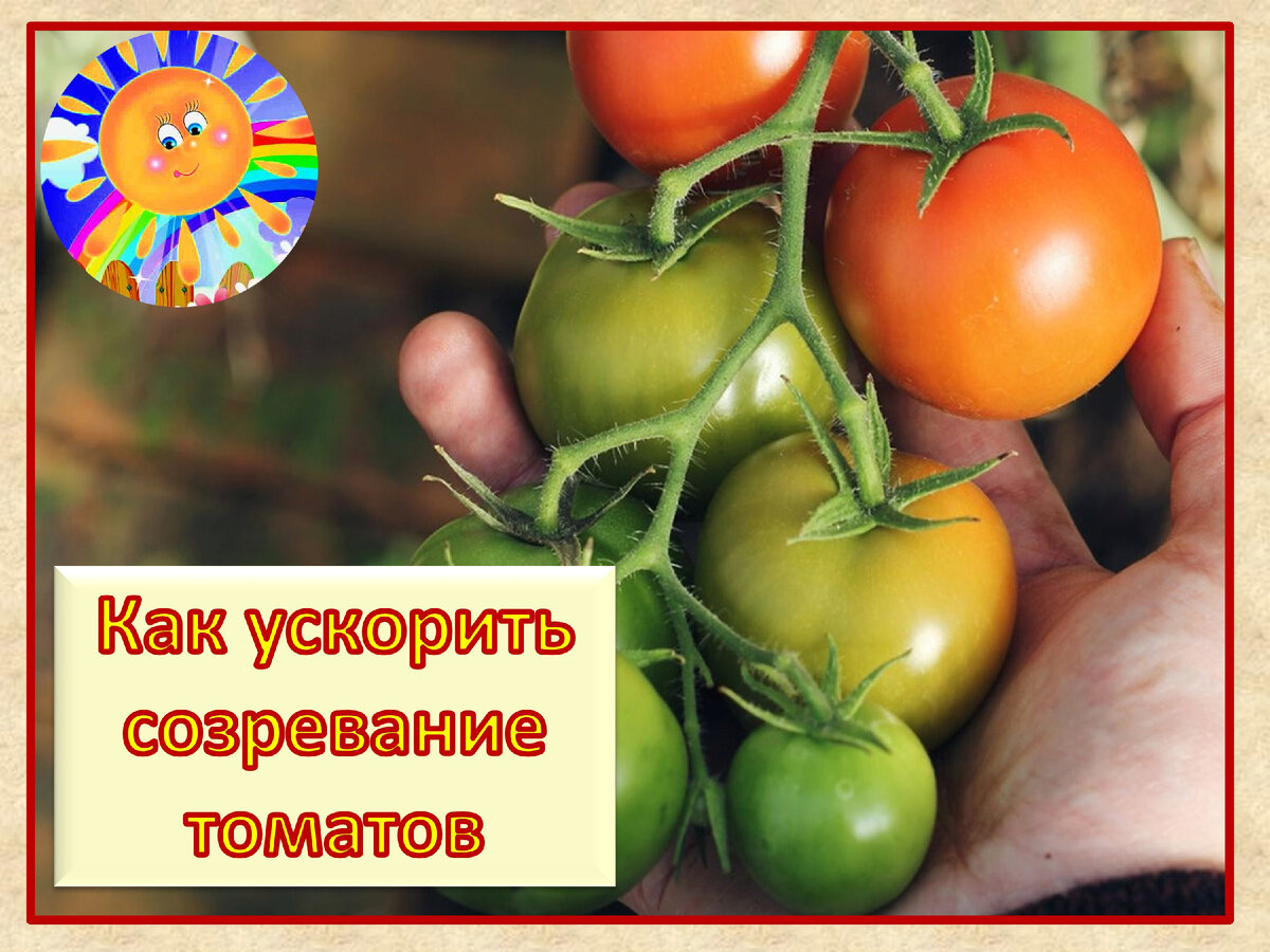 Личный архив