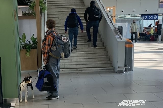    Что можно взять с собой в салон самолёта?