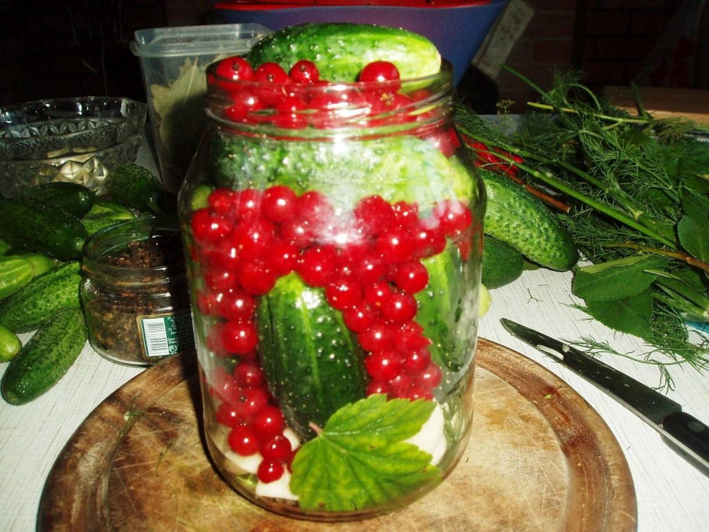 Огурцы в банках с красной смородиной. Огурцы на зиму рецепты с смородиной. Огурцы на зиму рецепты с смородиной. Маринованные огурцы с красной смородиной. Маринованные огурцы с красной смородиной на зиму.