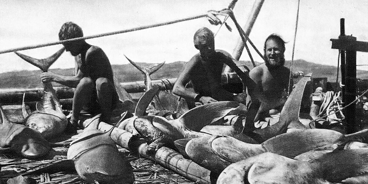 мужественный тур хейердал викинг. путешественник тур хейердал. путешественник тур хейердал. жена тура хейердала. норвегия тур хейердал.