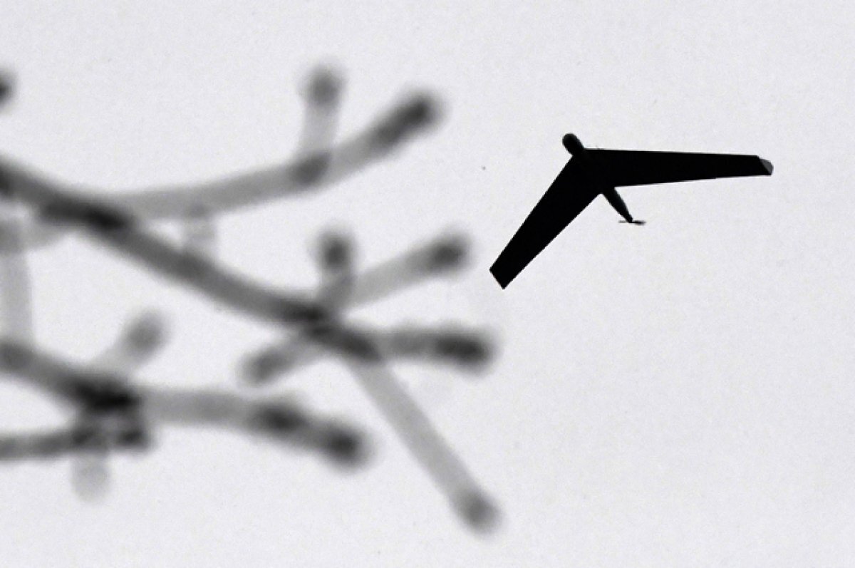    Минтранс оценил затраты на инфраструктуру для дронов в 236 млрд рублей