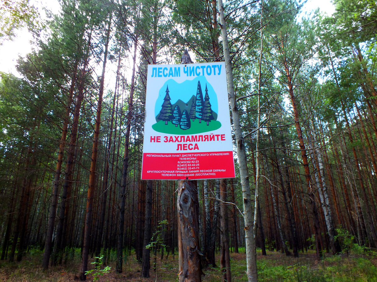 Экологически чистый канал Белка Сибирская и его рубрика "Белка против "свинства" в лесу" приветствует всех борцов за чистоту природы!