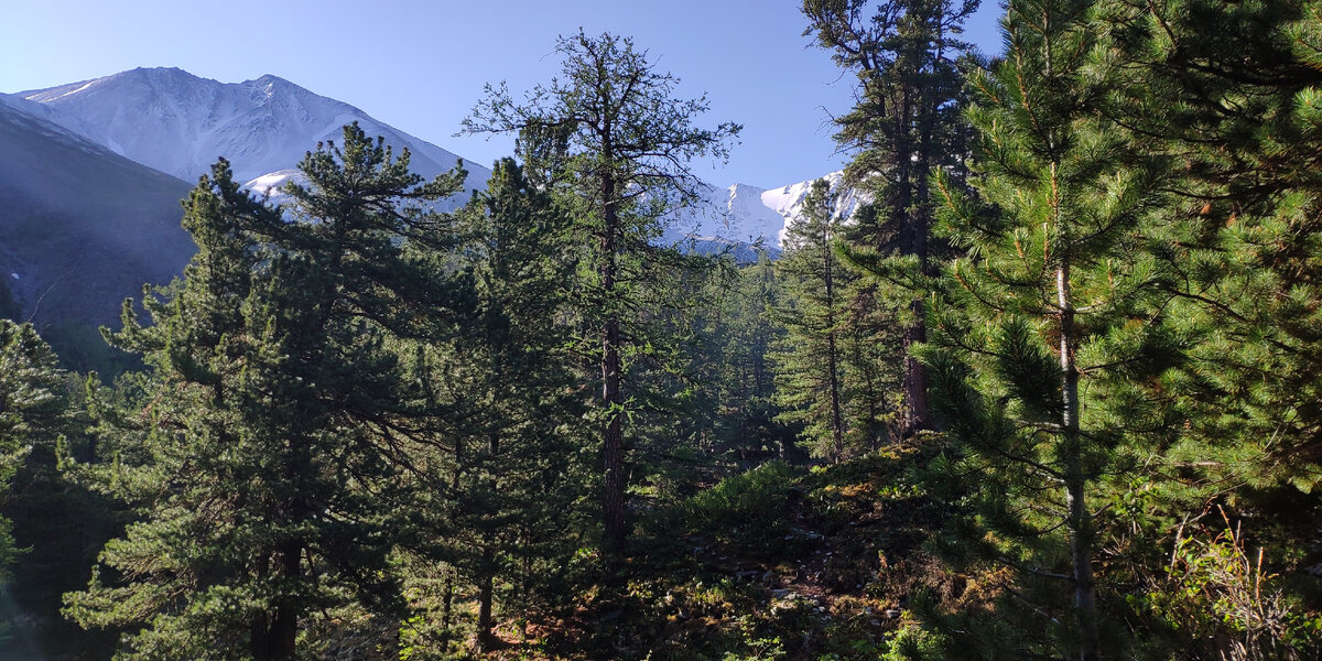 Вид с кемпинга