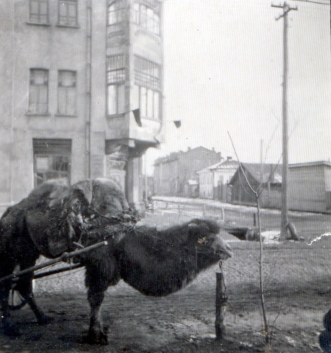 Фото 1920-1930 г.