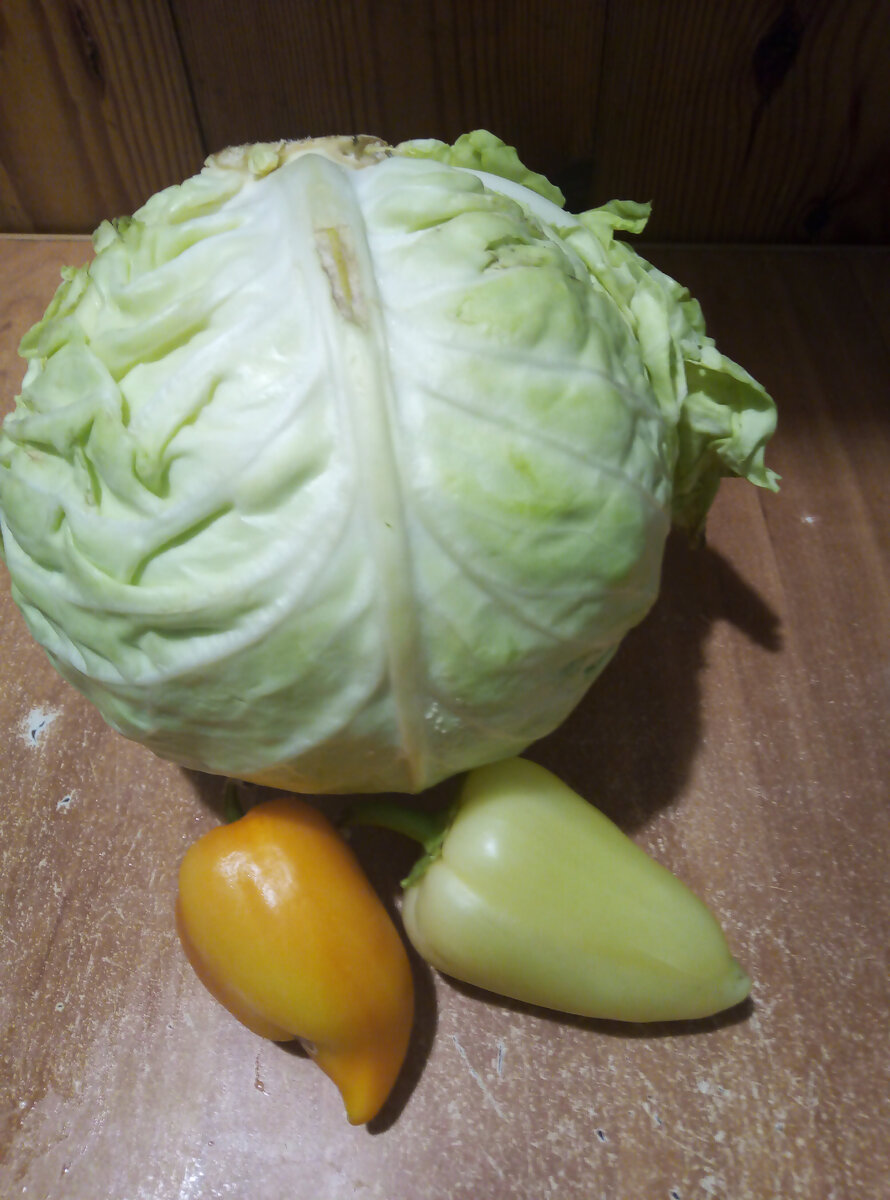 Овощи на щи