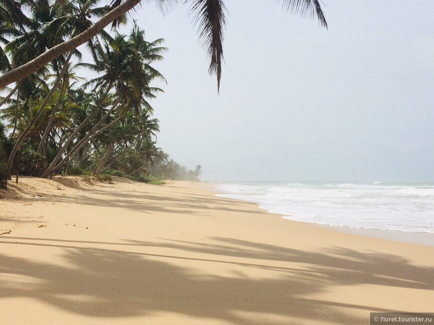 остров шри ланка климат. шри ланка летом стоит ли ехать. шри ланка фото красивые. пляж панадура шри ланка. шри ланка летом стоит ли ехать.