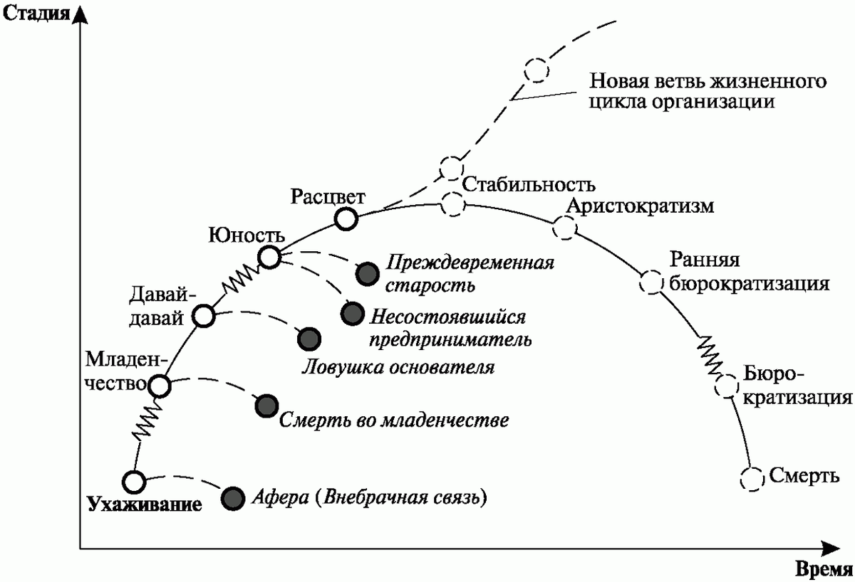Модель Адизеса схематически