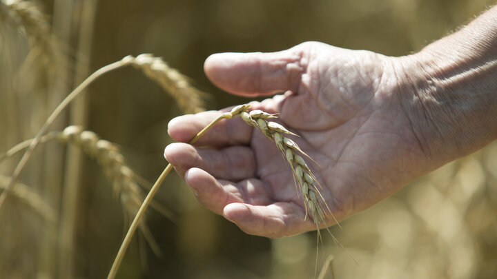 ФОТО: NIKOLAY GYNGAZOV/GLOBALLOOKPRESS