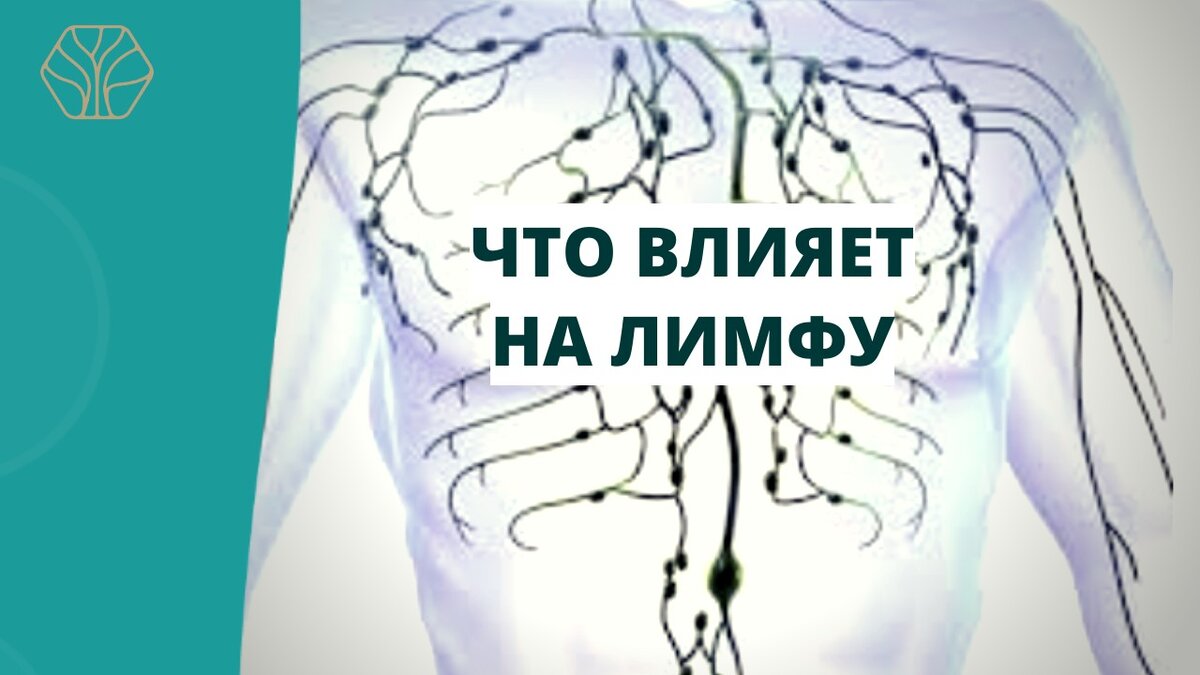 Наша лимфатическая система- это целая сеть, которая распространяется буквально по всему нашему организму.