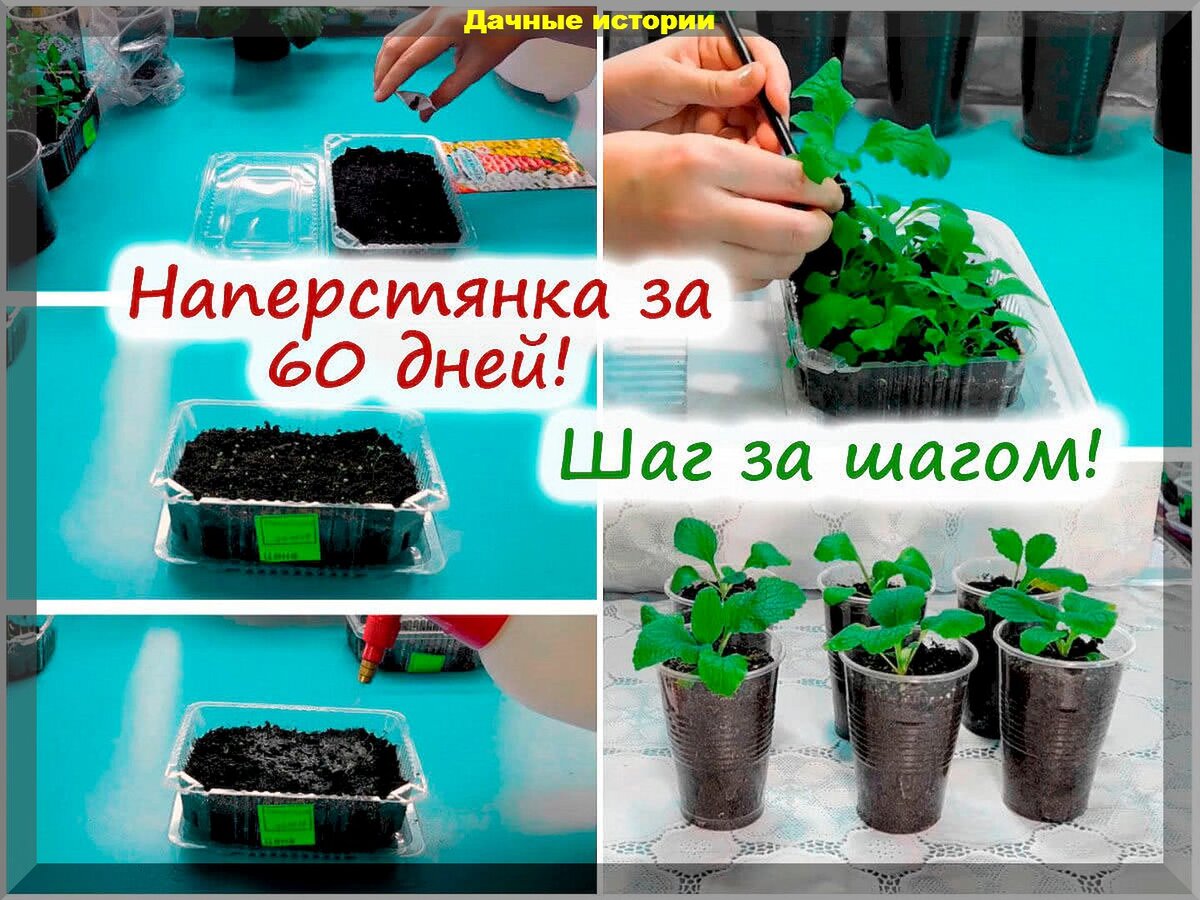 https://vk.com/photo-159774511_457261433