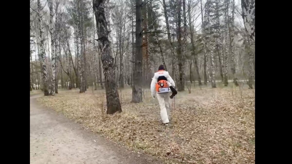     В красноярском экопарке «Гремячая грива» сегодня, 21 июля, проведут обработку от клещей. Жителей просят там не гулять.