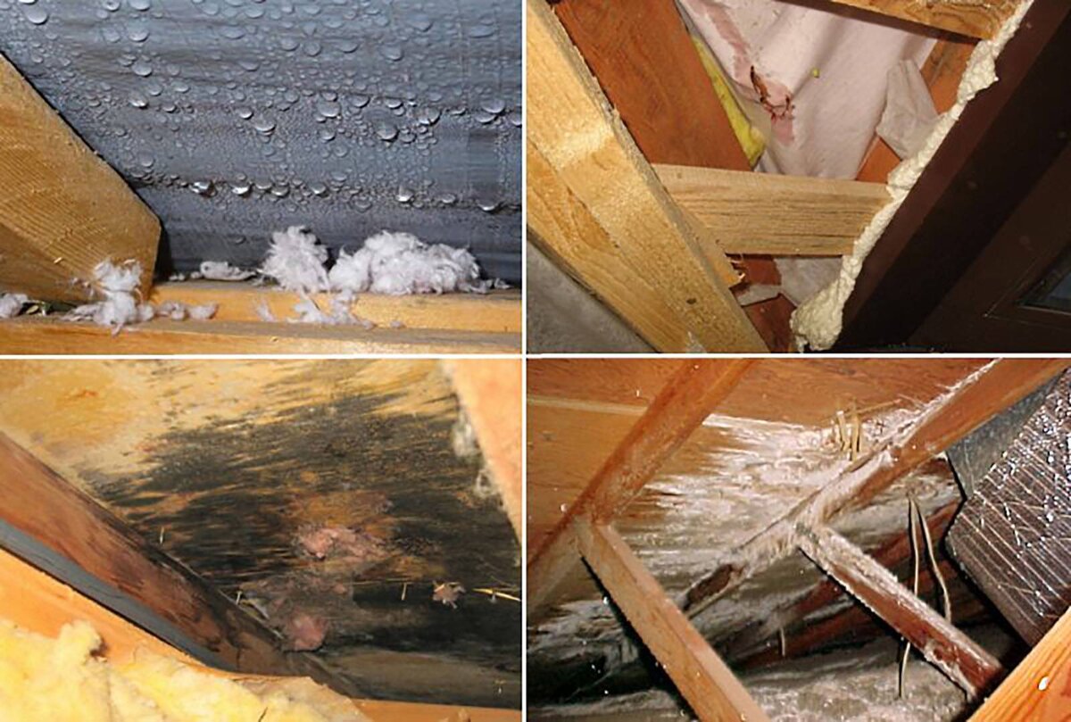 результат плохой вентиляции на чердаке