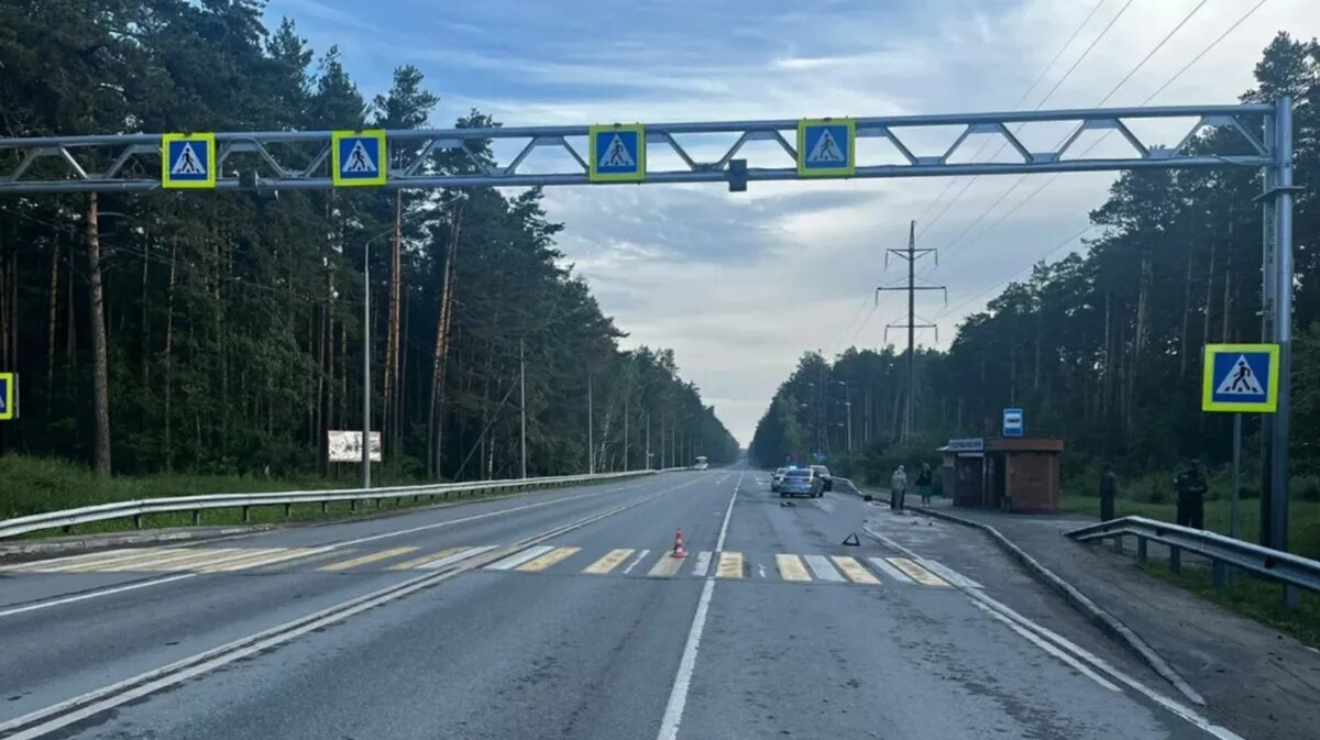 Фото: ГИБДД Новосибирской области